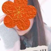 ヒメ日記 2025/02/19 09:34 投稿 さな チューリップ福井別館