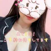 ヒメ日記 2025/02/26 09:34 投稿 さな チューリップ福井別館