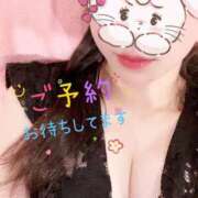 ヒメ日記 2025/04/18 09:24 投稿 さな チューリップ福井別館