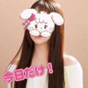 ヒメ日記 2025/05/06 09:04 投稿 さな チューリップ福井別館