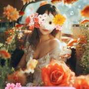 ヒメ日記 2025/06/19 11:31 投稿 さな チューリップ福井別館