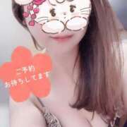 ヒメ日記 2025/11/13 09:15 投稿 さな チューリップ福井別館