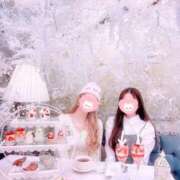 ヒメ日記 2025/01/01 12:30 投稿 セリ チューリップ福井別館