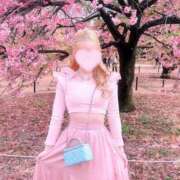 ヒメ日記 2025/03/18 05:14 投稿 セリ チューリップ福井別館