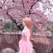 ヒメ日記 2025/03/19 11:24 投稿 セリ チューリップ福井別館