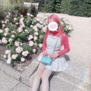 ヒメ日記 2025/06/13 17:24 投稿 セリ チューリップ福井別館