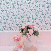 ヒメ日記 2025/09/14 08:14 投稿 セリ チューリップ福井別館