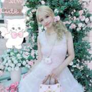 ヒメ日記 2025/10/25 06:44 投稿 セリ チューリップ福井別館