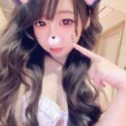 ヒメ日記 2025/01/05 10:00 投稿 ちょこ チューリップ福井別館