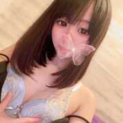 ヒメ日記 2025/01/08 12:33 投稿 ちょこ チューリップ福井別館