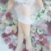 ヒメ日記 2025/01/10 10:04 投稿 ちょこ チューリップ福井別館