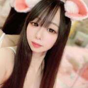 ヒメ日記 2025/01/12 10:04 投稿 ちょこ チューリップ福井別館