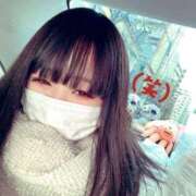 ヒメ日記 2025/02/17 16:04 投稿 ちょこ チューリップ福井別館