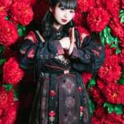 ヒメ日記 2025/02/22 06:54 投稿 ちょこ チューリップ福井別館