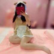 ヒメ日記 2025/03/25 15:34 投稿 ちょこ チューリップ福井別館