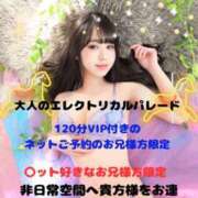 ヒメ日記 2025/03/26 10:05 投稿 ちょこ チューリップ福井別館