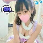 ヒメ日記 2025/03/28 06:04 投稿 ちょこ チューリップ福井別館