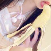 ヒメ日記 2025/03/29 12:24 投稿 ちょこ チューリップ福井別館