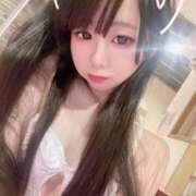 ヒメ日記 2025/04/03 07:04 投稿 ちょこ チューリップ福井別館