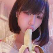 ヒメ日記 2025/04/07 06:54 投稿 ちょこ チューリップ福井別館