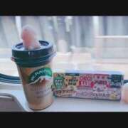 ヒメ日記 2025/04/17 13:44 投稿 ちょこ チューリップ福井別館