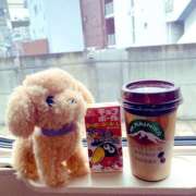 ヒメ日記 2025/05/02 13:31 投稿 ちょこ チューリップ福井別館