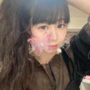 ヒメ日記 2025/07/24 09:34 投稿 ちょこ チューリップ福井別館