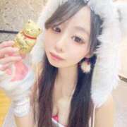 ヒメ日記 2025/07/27 01:34 投稿 ちょこ チューリップ福井別館