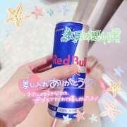 ヒメ日記 2025/08/24 00:24 投稿 ちょこ チューリップ福井別館