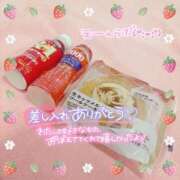 ヒメ日記 2025/10/24 21:34 投稿 ちょこ チューリップ福井別館