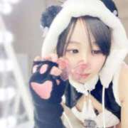 ヒメ日記 2025/10/27 23:11 投稿 ちょこ チューリップ福井別館