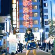 ヒメ日記 2025/11/15 00:34 投稿 ちょこ チューリップ福井別館