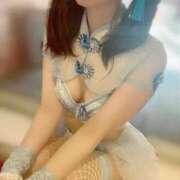 ヒメ日記 2025/11/16 16:04 投稿 ちょこ チューリップ福井別館