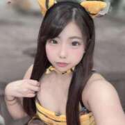 ヒメ日記 2025/02/12 22:14 投稿 つみき チューリップ福井別館