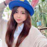 ヒメ日記 2025/04/13 15:14 投稿 つみき チューリップ福井別館