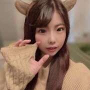 ヒメ日記 2025/10/22 09:44 投稿 つみき チューリップ福井別館