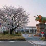 ヒメ日記 2025/04/07 10:24 投稿 ひかる チューリップ福井別館