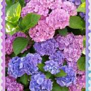 一条 お久しぶりです 熟女待機所 厚木店