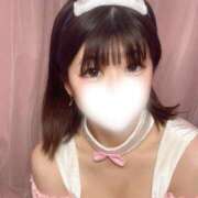 ヒメ日記 2025/06/19 19:34 投稿 まいか チューリップ福井別館