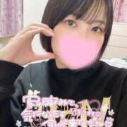 ヒメ日記 2025/03/24 19:14 投稿 みなと チューリップ福井別館