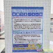 ヒメ日記 2024/08/02 14:14 投稿 みやび チューリップ福井別館