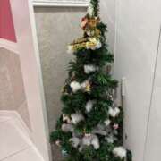 ヒメ日記 2024/12/15 15:04 投稿 みやび チューリップ福井別館