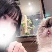 ヒメ日記 2025/04/13 19:51 投稿 みやび チューリップ福井別館