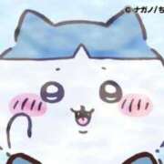 ヒメ日記 2025/04/19 10:44 投稿 みやび チューリップ福井別館