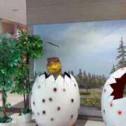 ヒメ日記 2025/09/16 14:44 投稿 みやび チューリップ福井別館