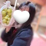 ヒメ日記 2025/10/31 14:54 投稿 みやび チューリップ福井別館