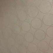 ヒメ日記 2025/11/01 16:04 投稿 みやび チューリップ福井別館