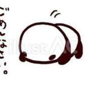 ヒメ日記 2025/02/15 11:04 投稿 ゆな チューリップ福井別館