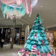 ヒメ日記 2025/11/30 00:34 投稿 ゆな チューリップ福井別館