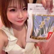 ヒメ日記 2025/04/21 13:58 投稿 りんり チューリップ福井別館